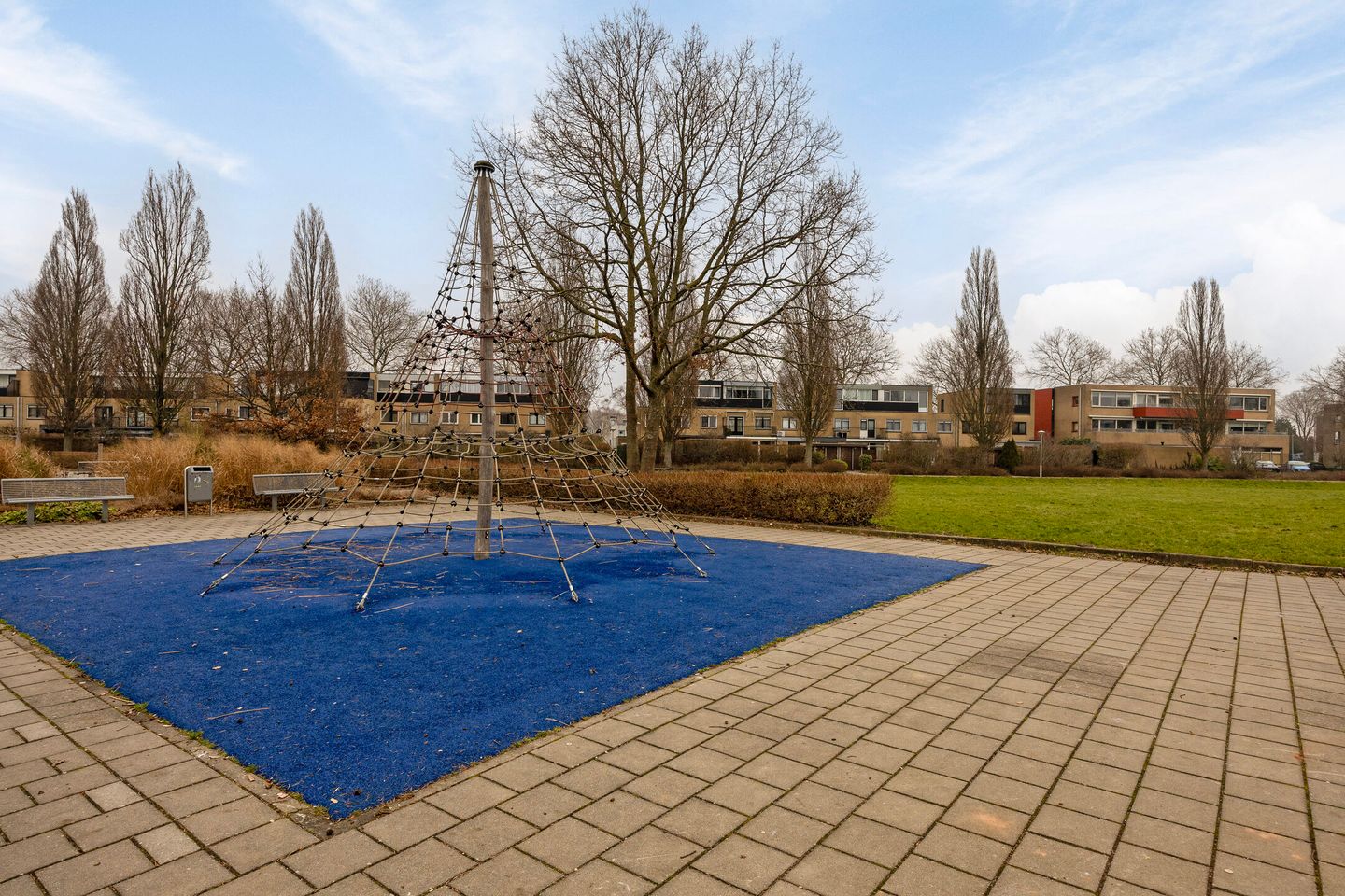 Photo 40 of Pruisisch blauw 34