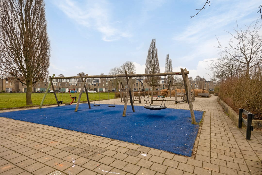 Photo 41 of Pruisisch blauw 34