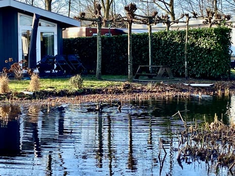 Hommelweg 2-R636 secondary image