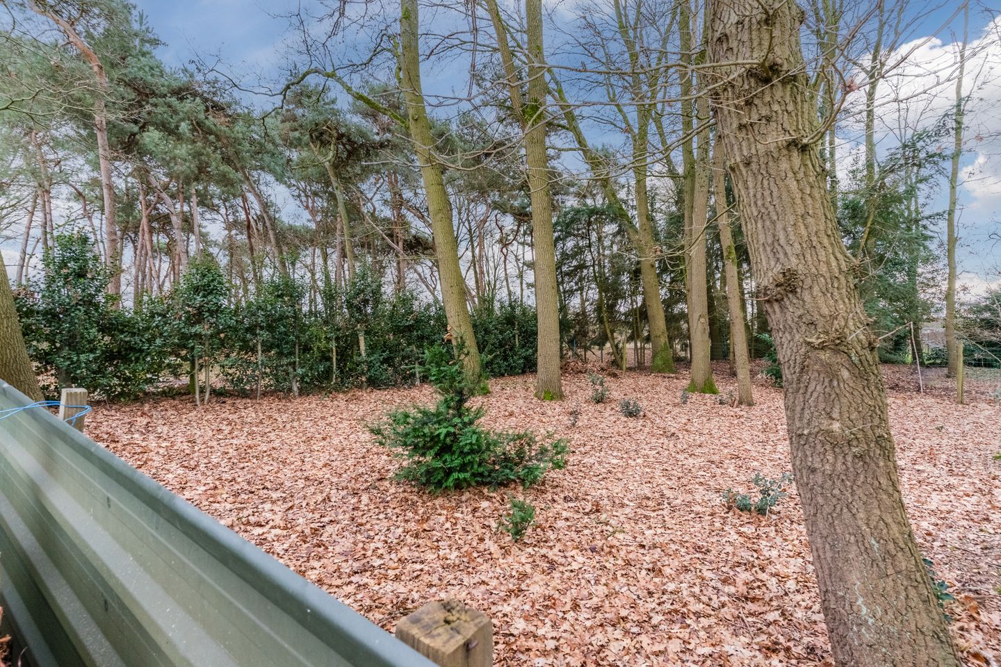 Foto 59 van Molenstraat 23