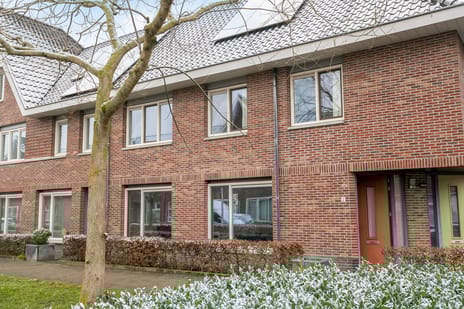 undefined main image