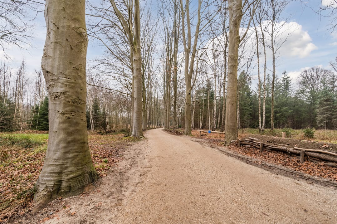 Photo 37 of Klaverhoek 3