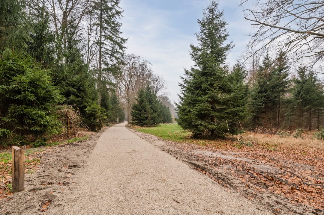 Photo 38 of Klaverhoek 3