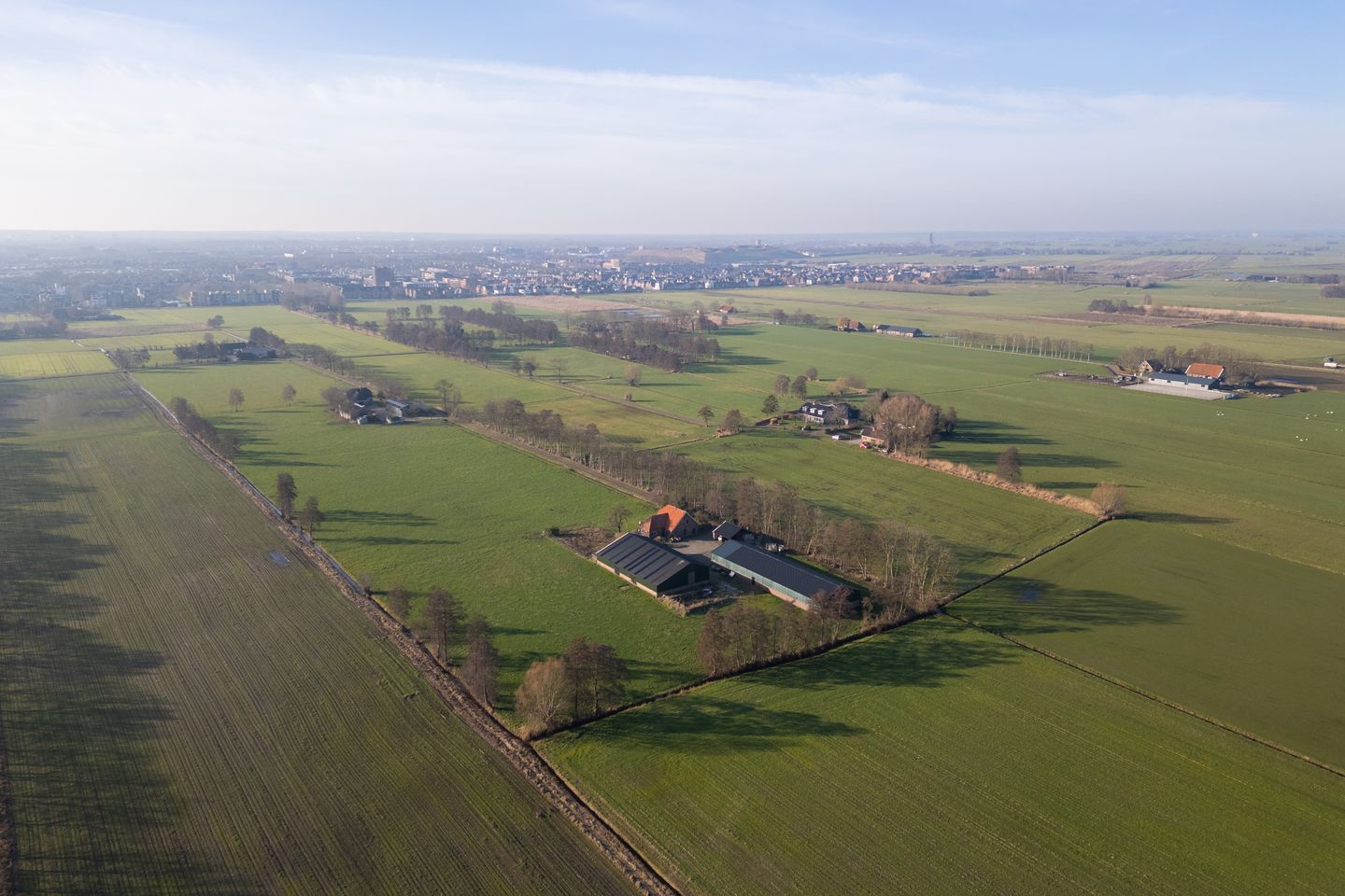 Bekijk foto 4 van Palissaden 3