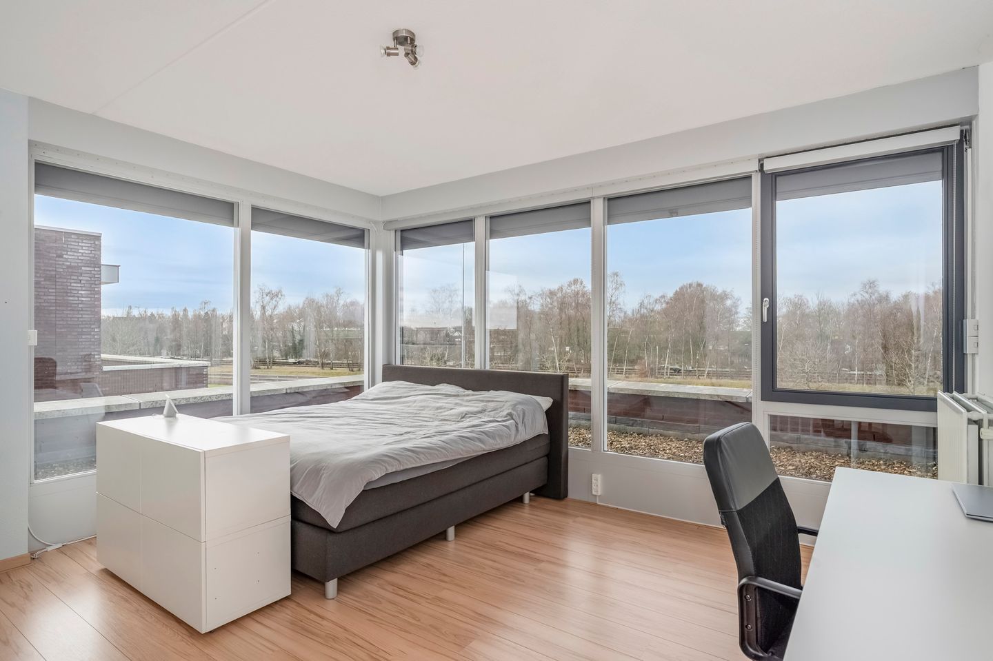 Photo 5 of Jupiter 36