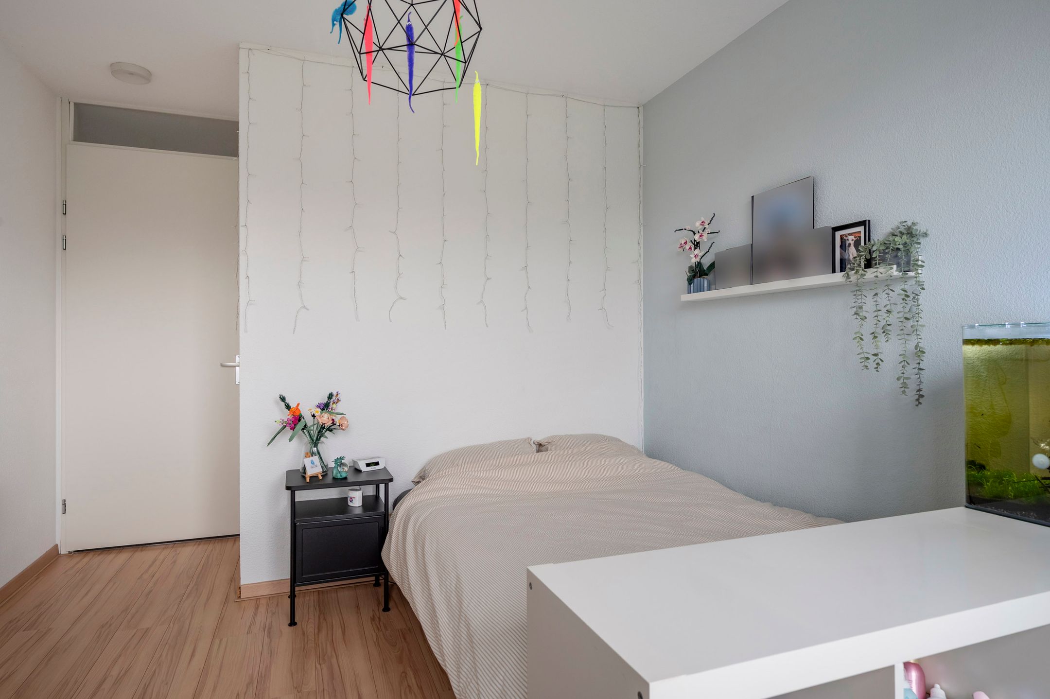 Photo 42 of Jupiter 36