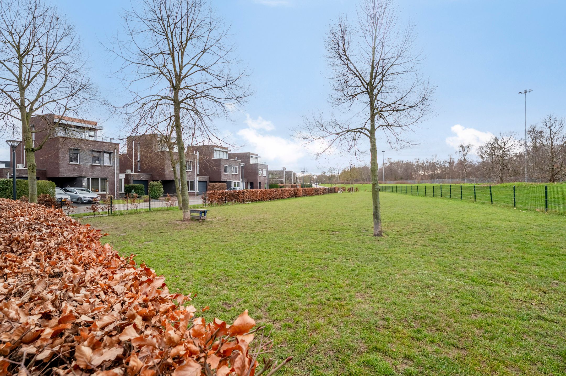 Photo 57 of Jupiter 36