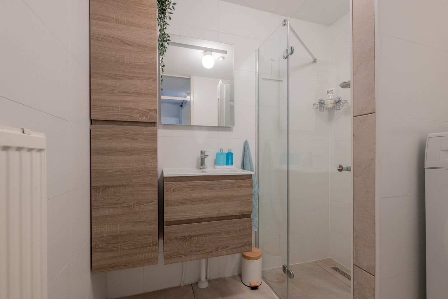 Foto 4 van Marshalllaan 139-M