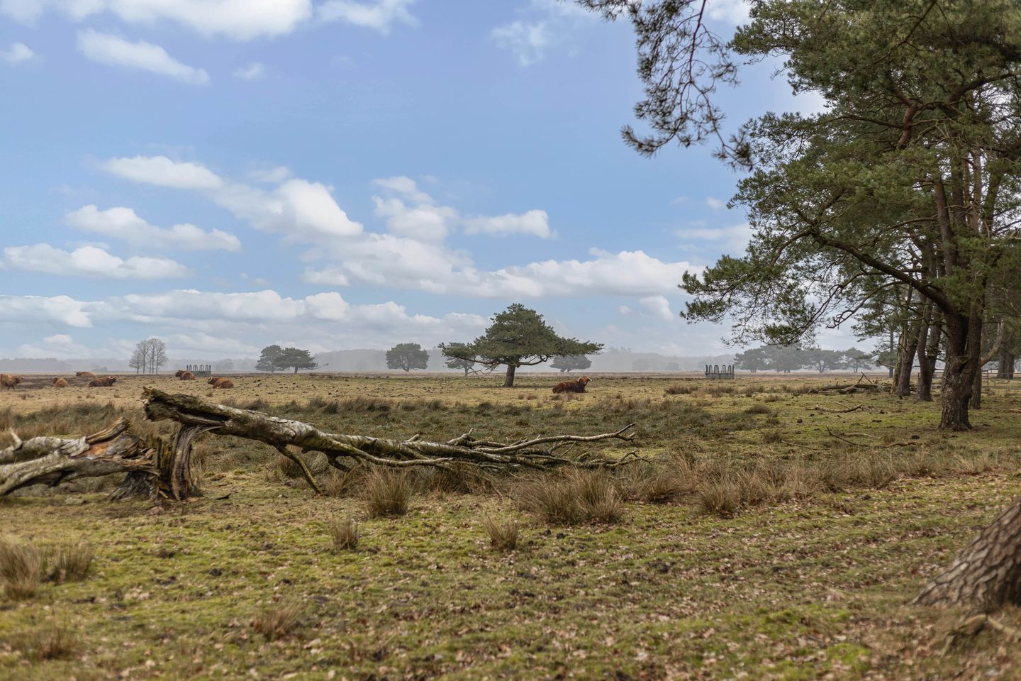 Foto 5 van Bungalowpark 42