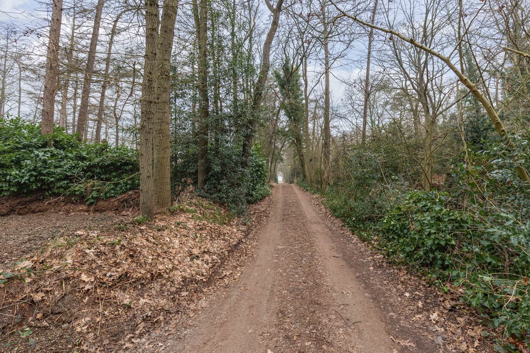 Foto 7 van Bungalowpark 42