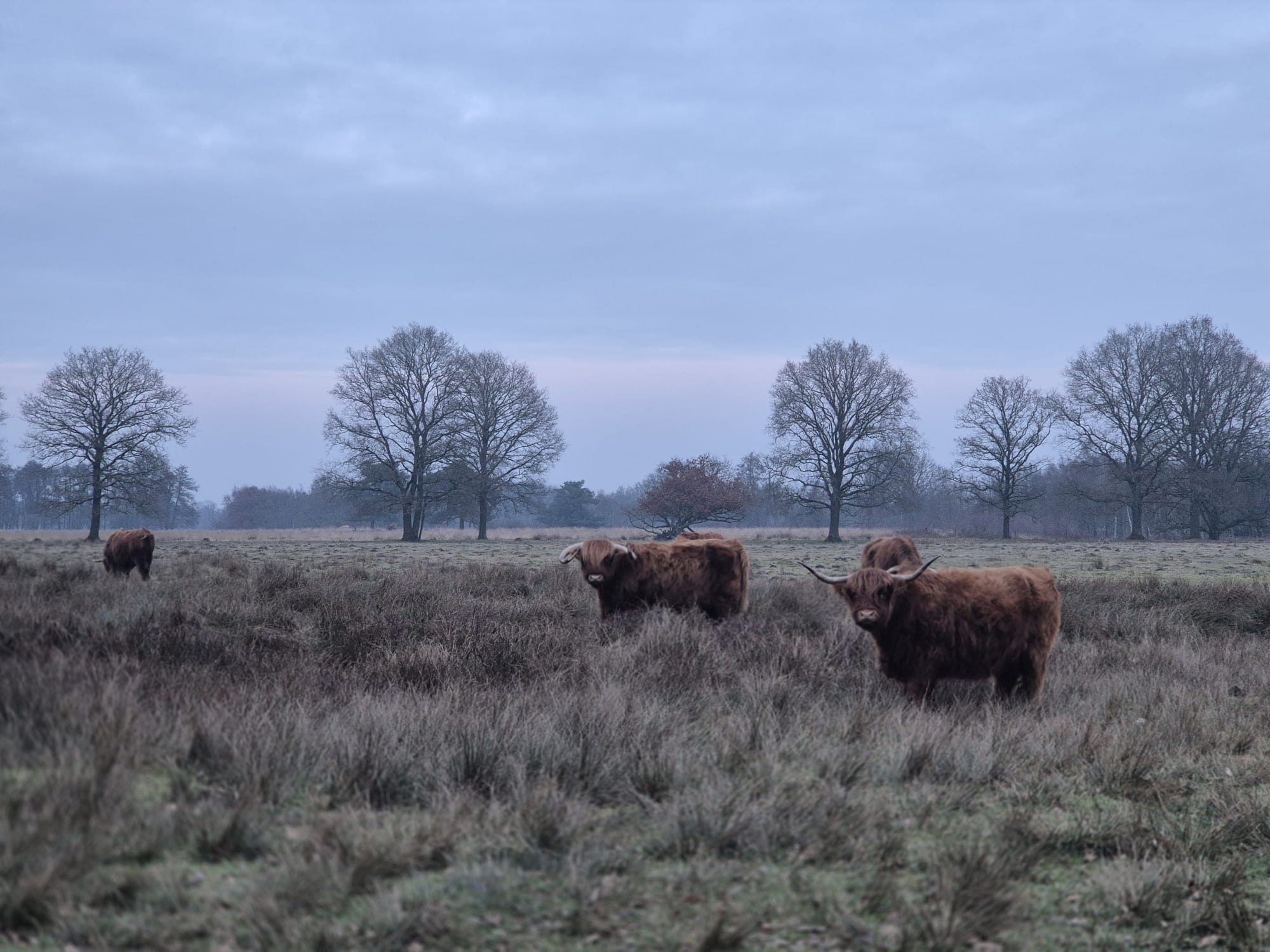 Foto 48 van Bungalowpark 42