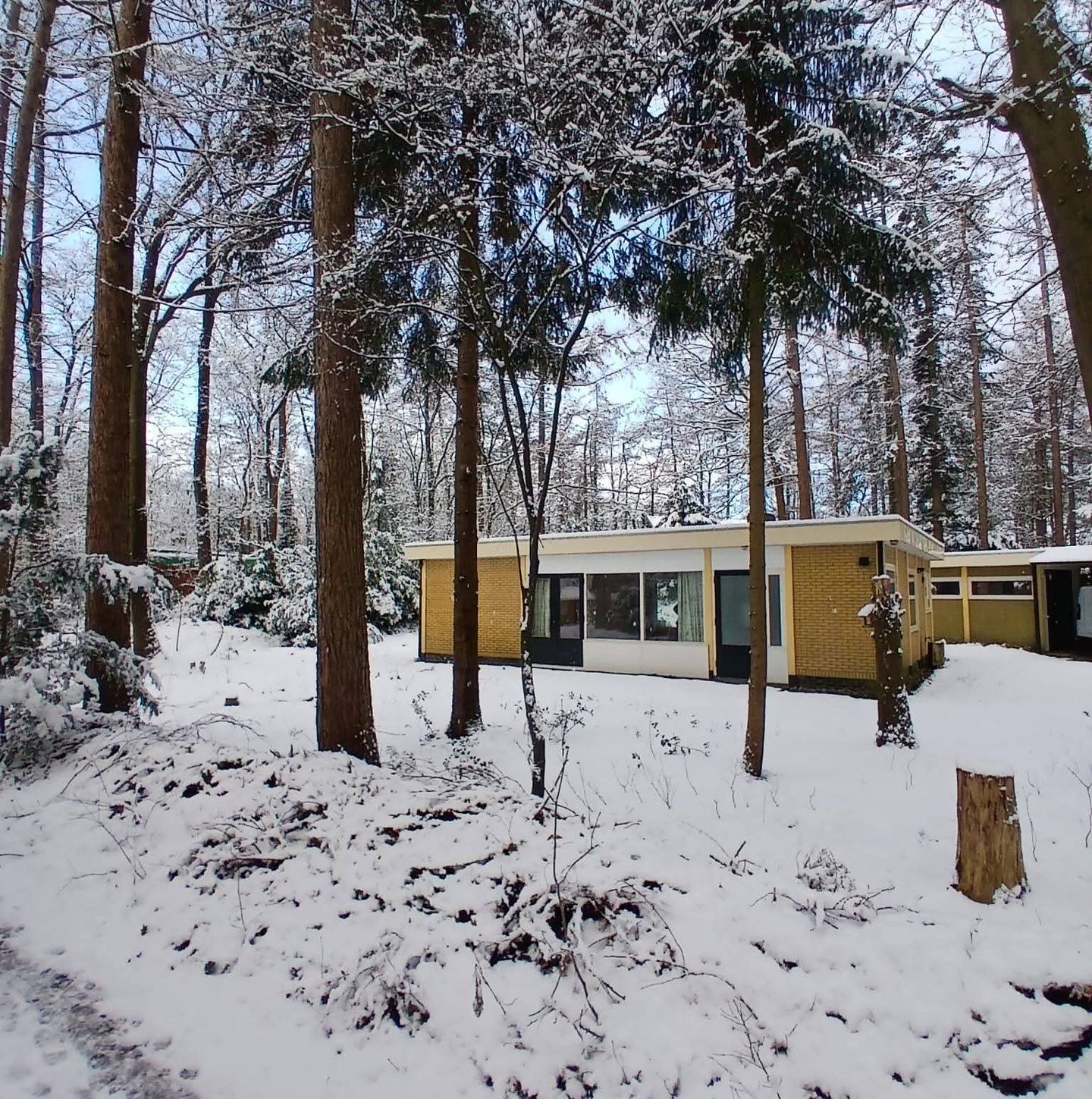 Foto 49 van Bungalowpark 42