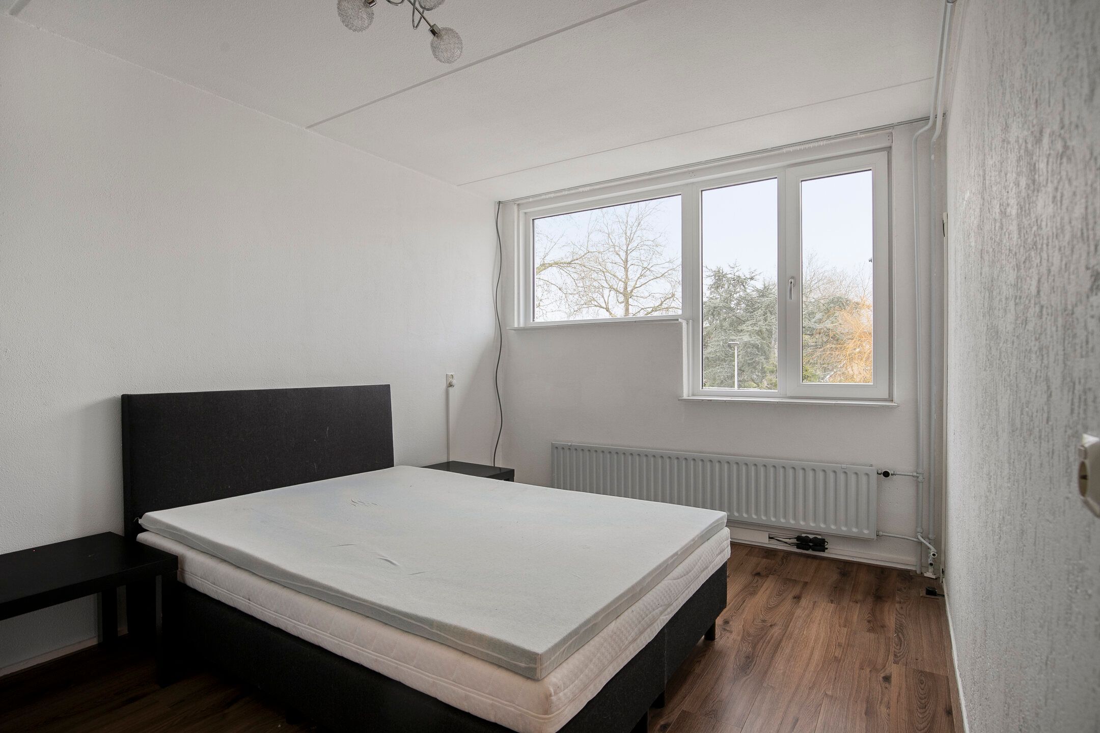 Photo 24 of De Koningshof 2