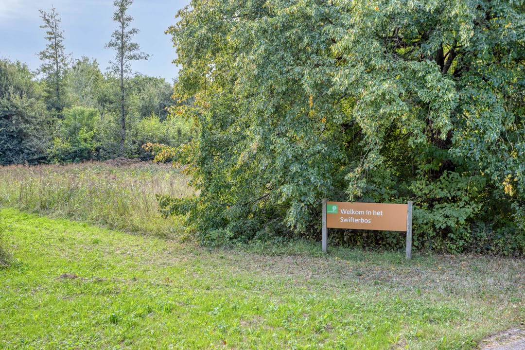 Photo 38 of De Koningshof 2