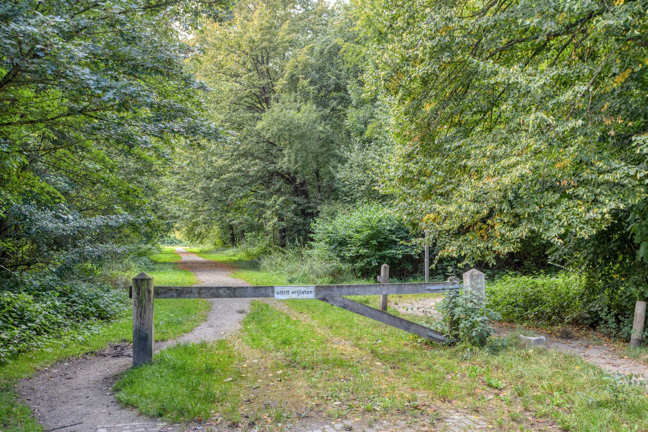 Photo 39 of De Koningshof 2