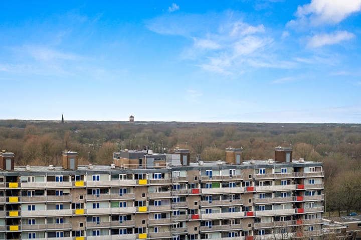 Foto 17 van Forellendaal 218