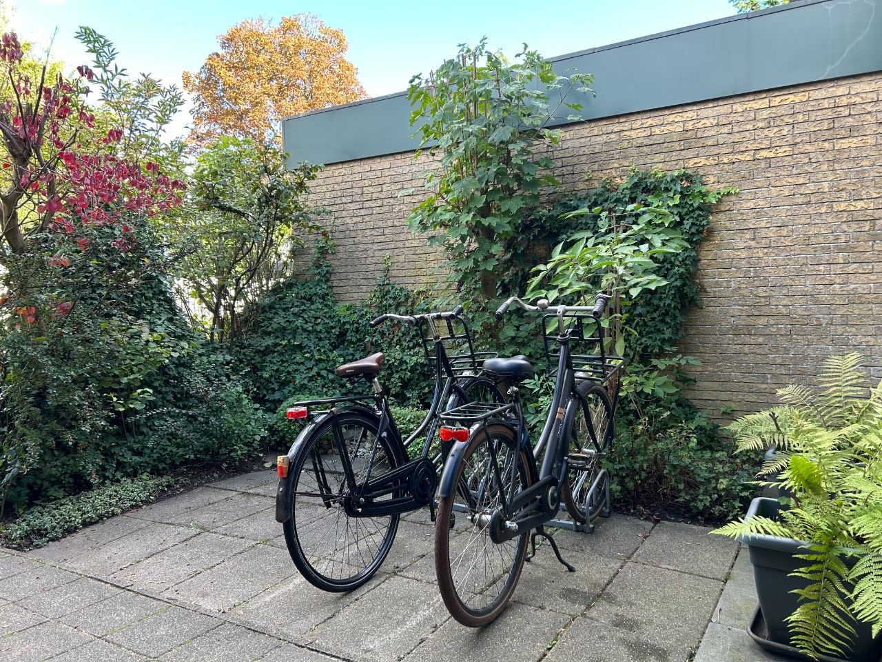 Foto 3 van Graan voor Visch 17802