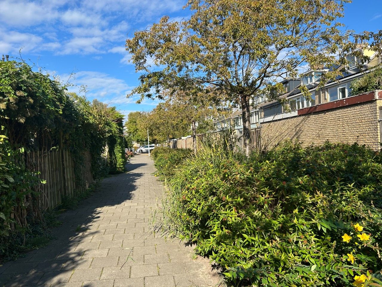 Foto 4 van Graan voor Visch 17802