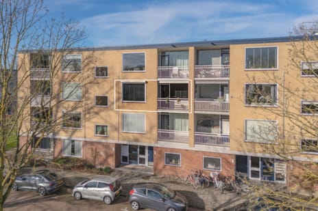 Statenlaan thumbnail