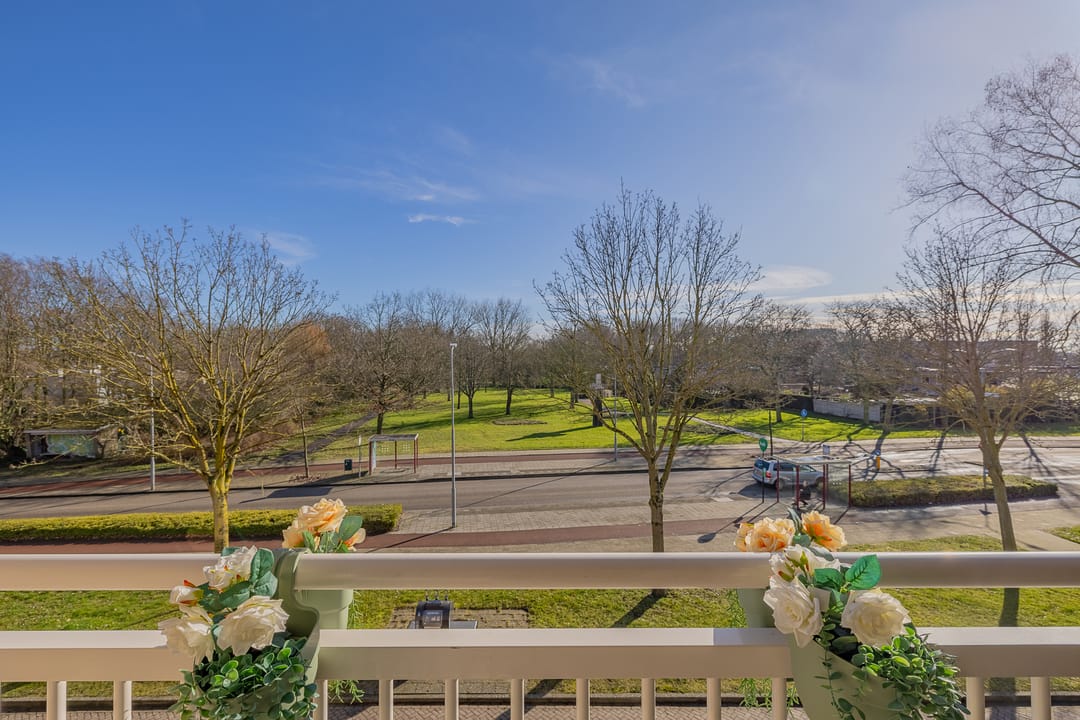 Foto 17 van Statenlaan 46