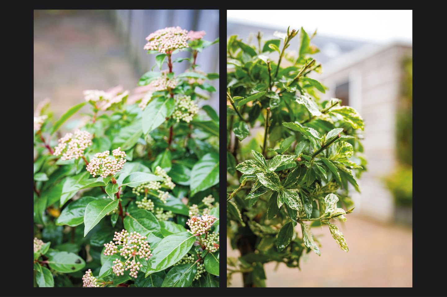 Foto 29 van Laan van Nieuw Meerten 53