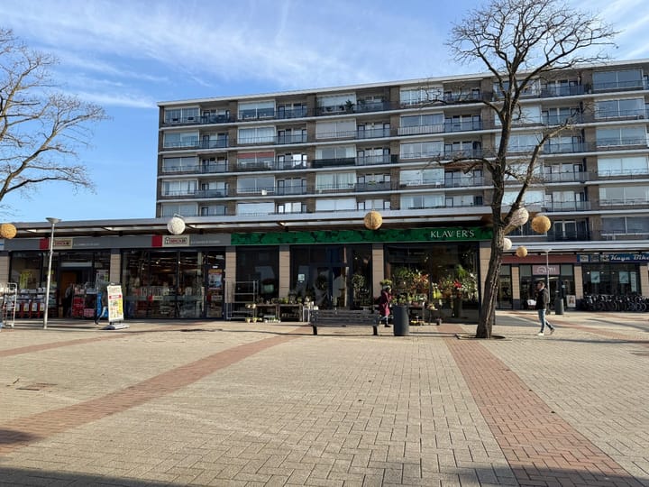 Rinze Koopmansstraat 117