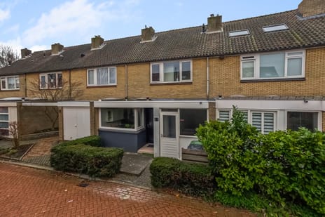 undefined main image