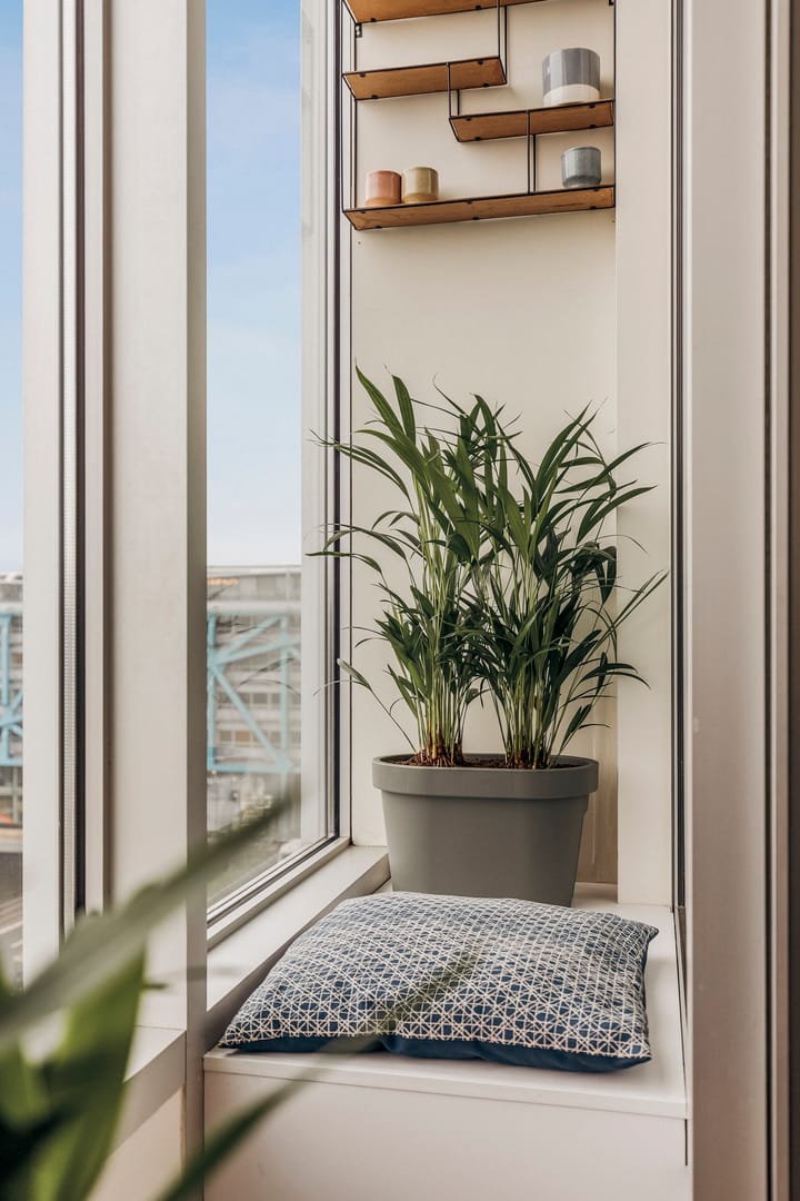 Photo 7 of Bos en Lommerplantsoen 29-D