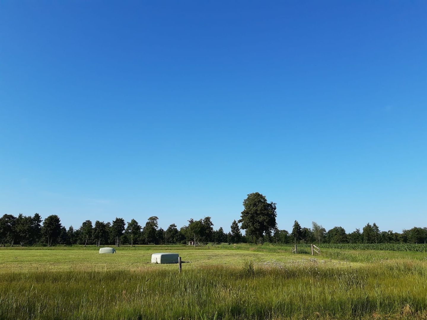 Foto 50 van Esdoornlaan 2