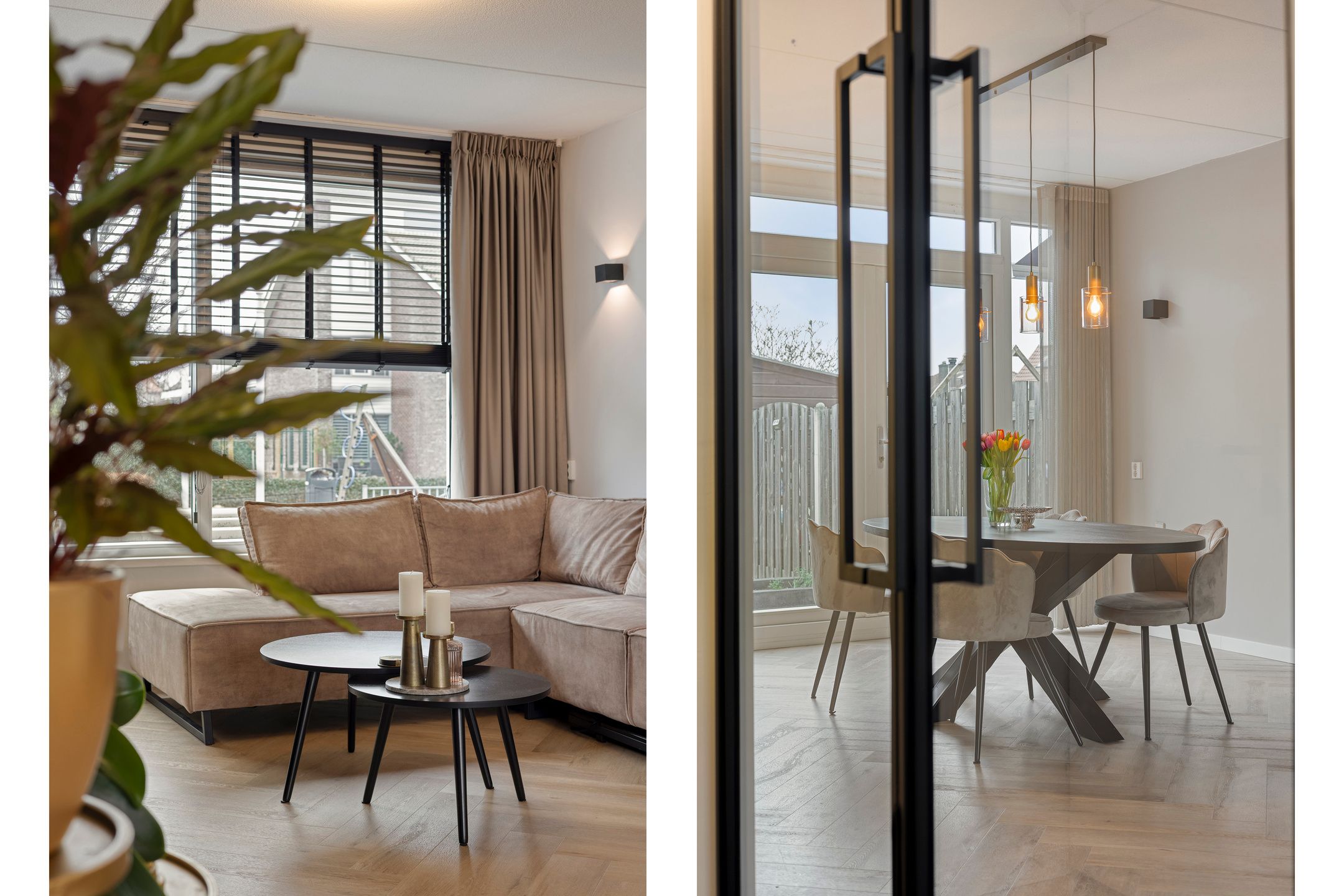 Foto 6 van Schout Eeuwoutstraat 36