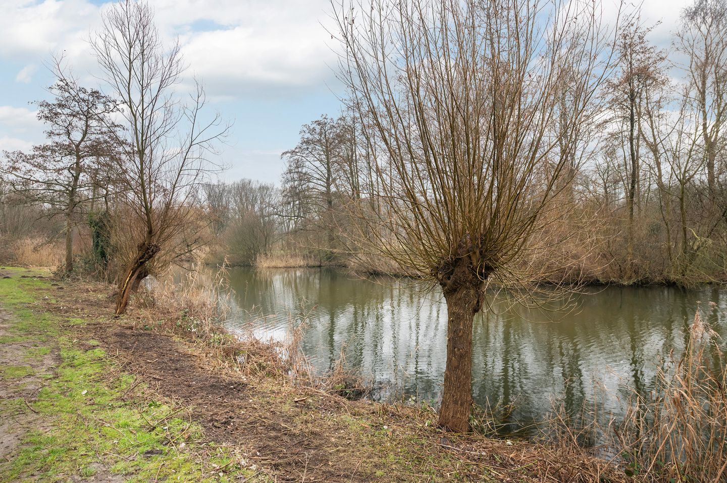 Photo 14 of Leerdamhof 448