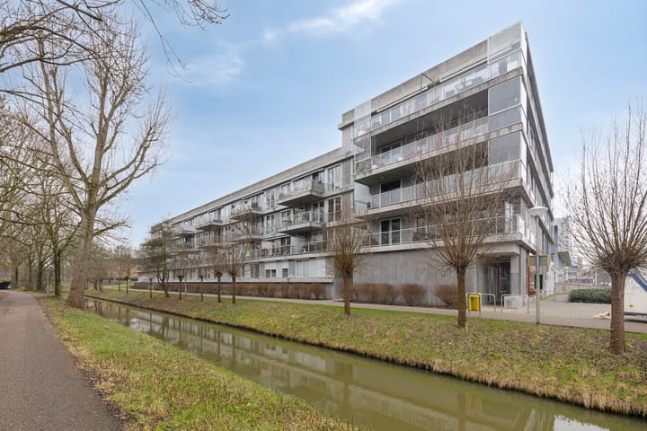 Cantharel 30 main image