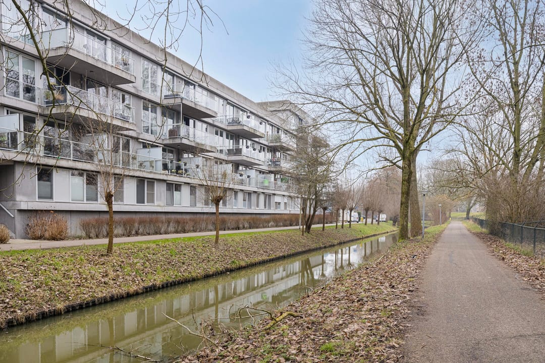 Foto 2 van Cantharel 30