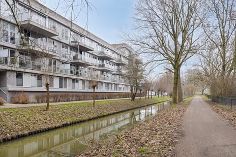 Cantharel 30 secondary image