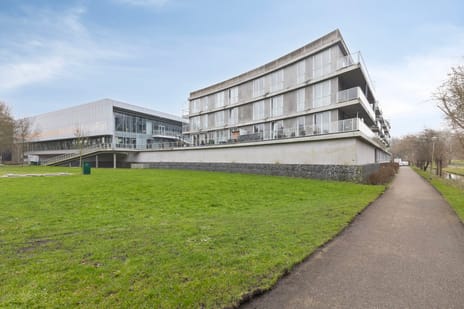 Cantharel 30 tertiary image