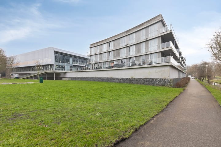 Photo 3 of Cantharel 30