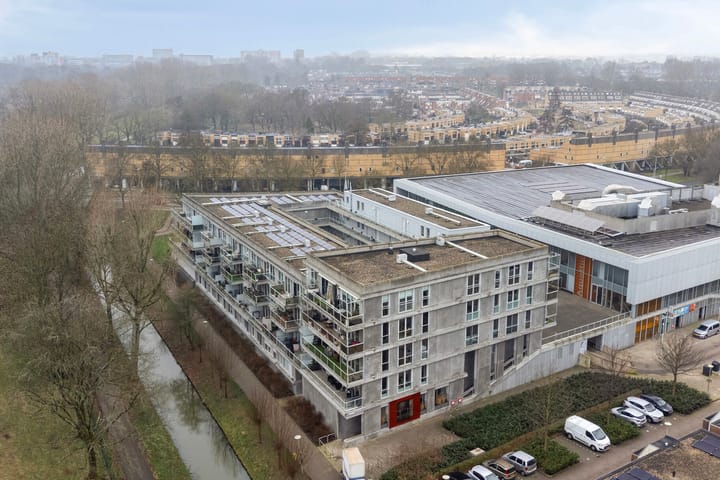 Photo 4 of Cantharel 30