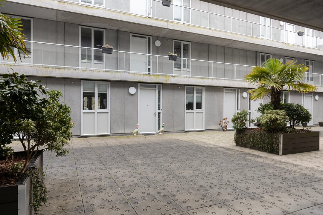 Foto 7 van Cantharel 30