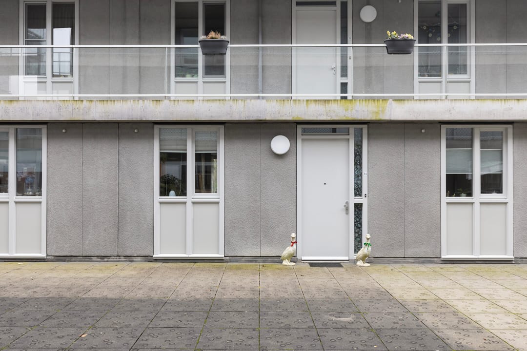 Foto 8 van Cantharel 30