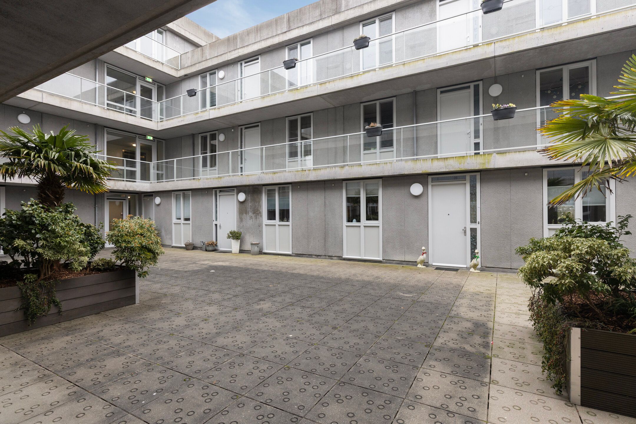 Foto 9 van Cantharel 30