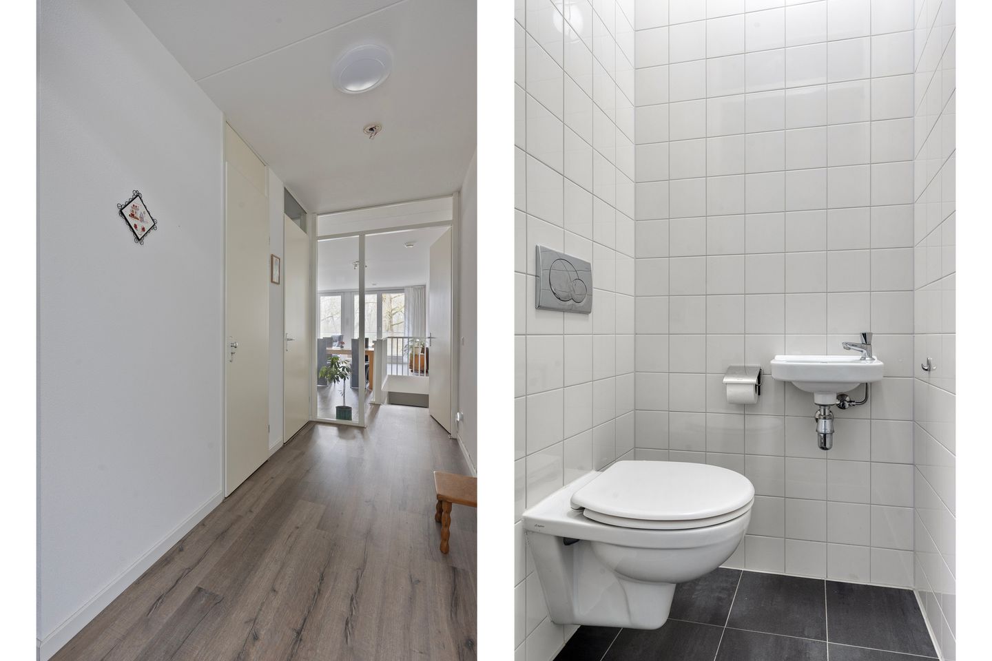 Foto 10 van Cantharel 30