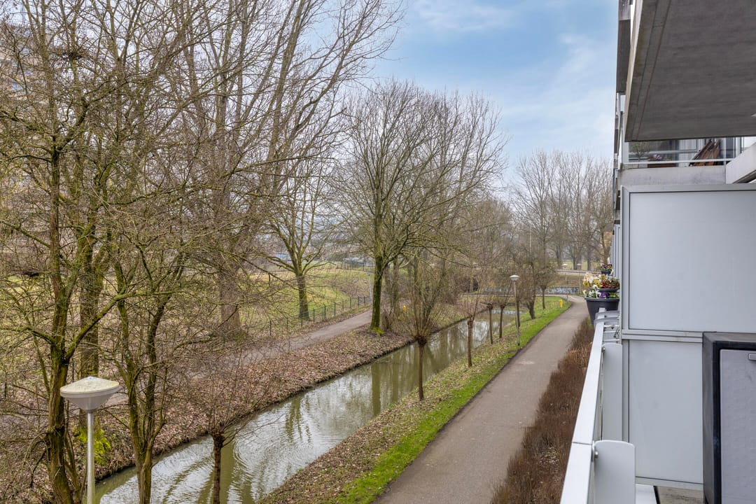 Foto 16 van Cantharel 30