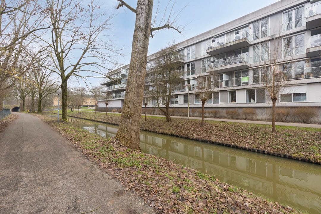 Foto 17 van Cantharel 30