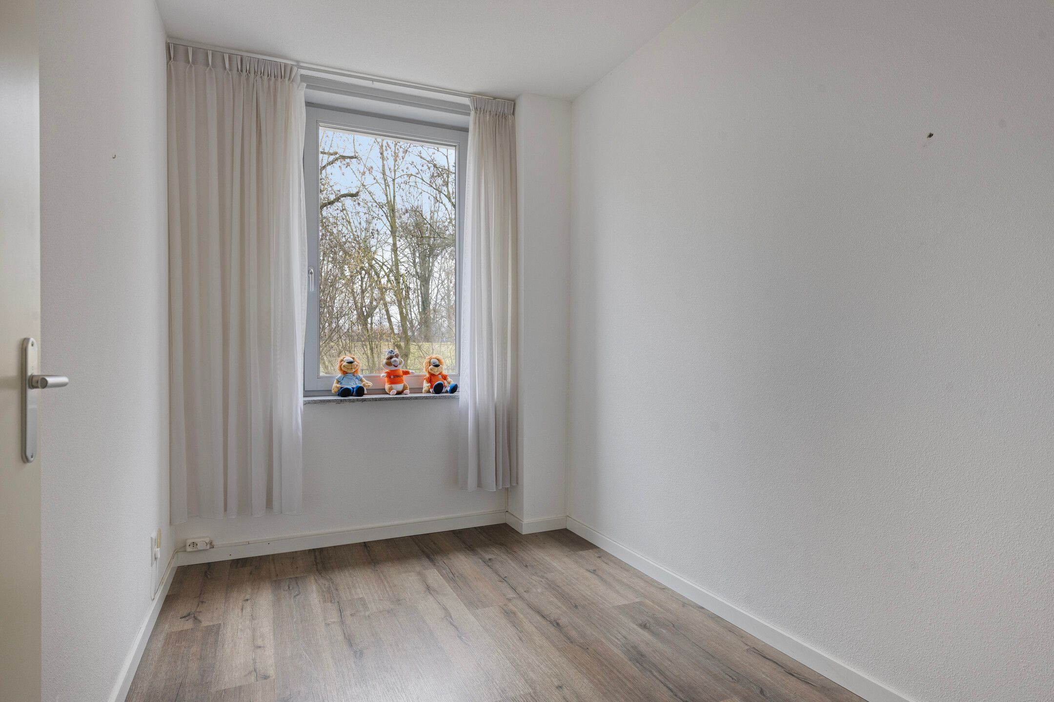 Foto 30 van Cantharel 30