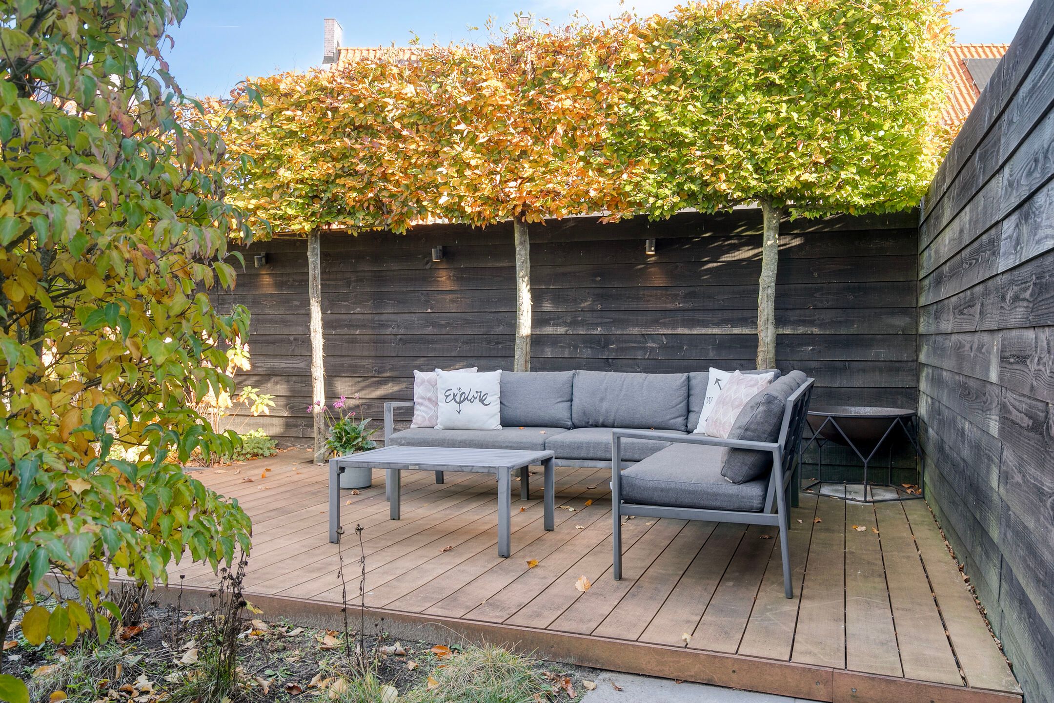 Foto 30 van Kleine Vuurvlinder 43