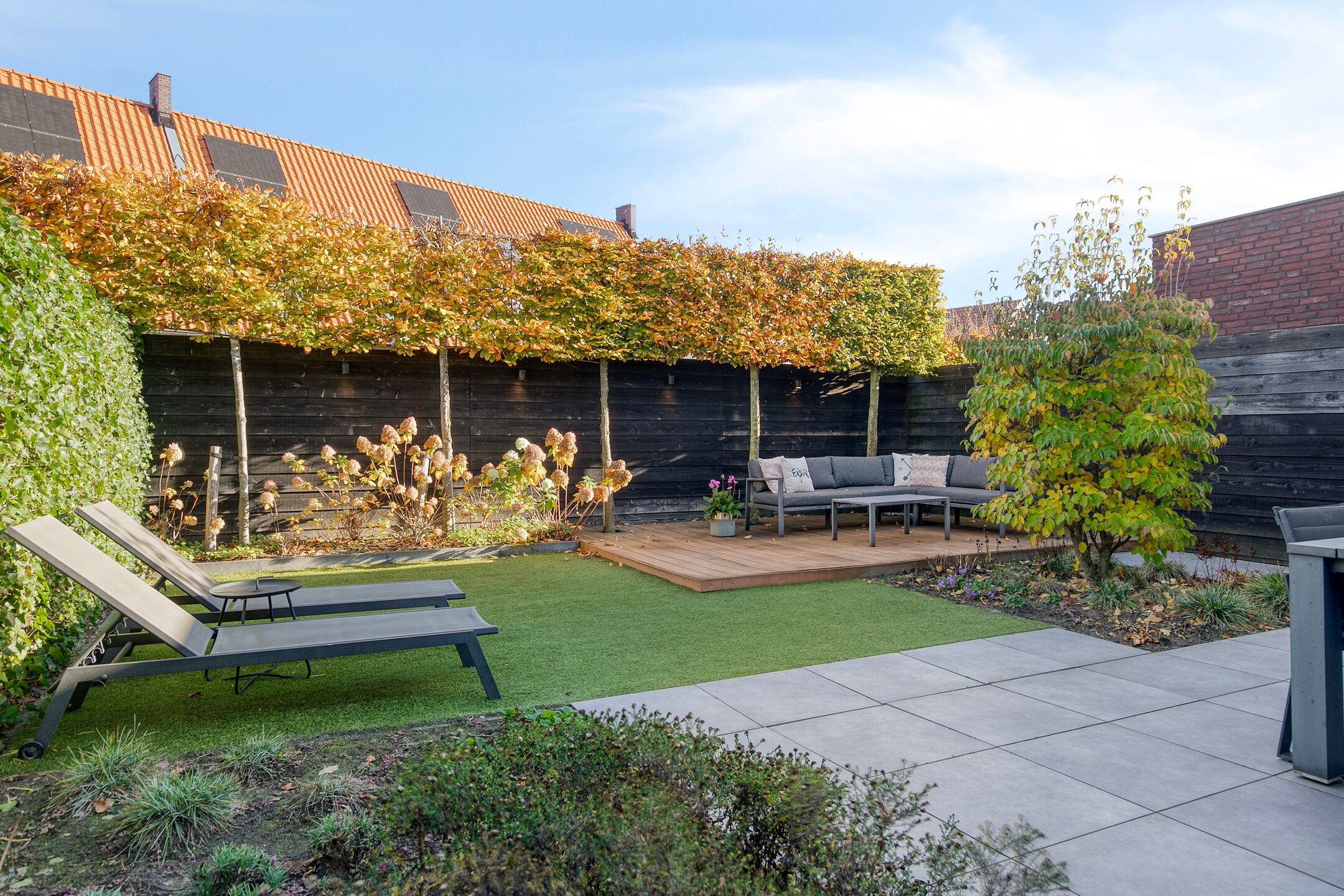 Foto 6 van Kleine Vuurvlinder 43