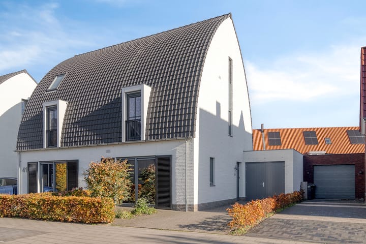 Kleine Vuurvlinder 43 main image