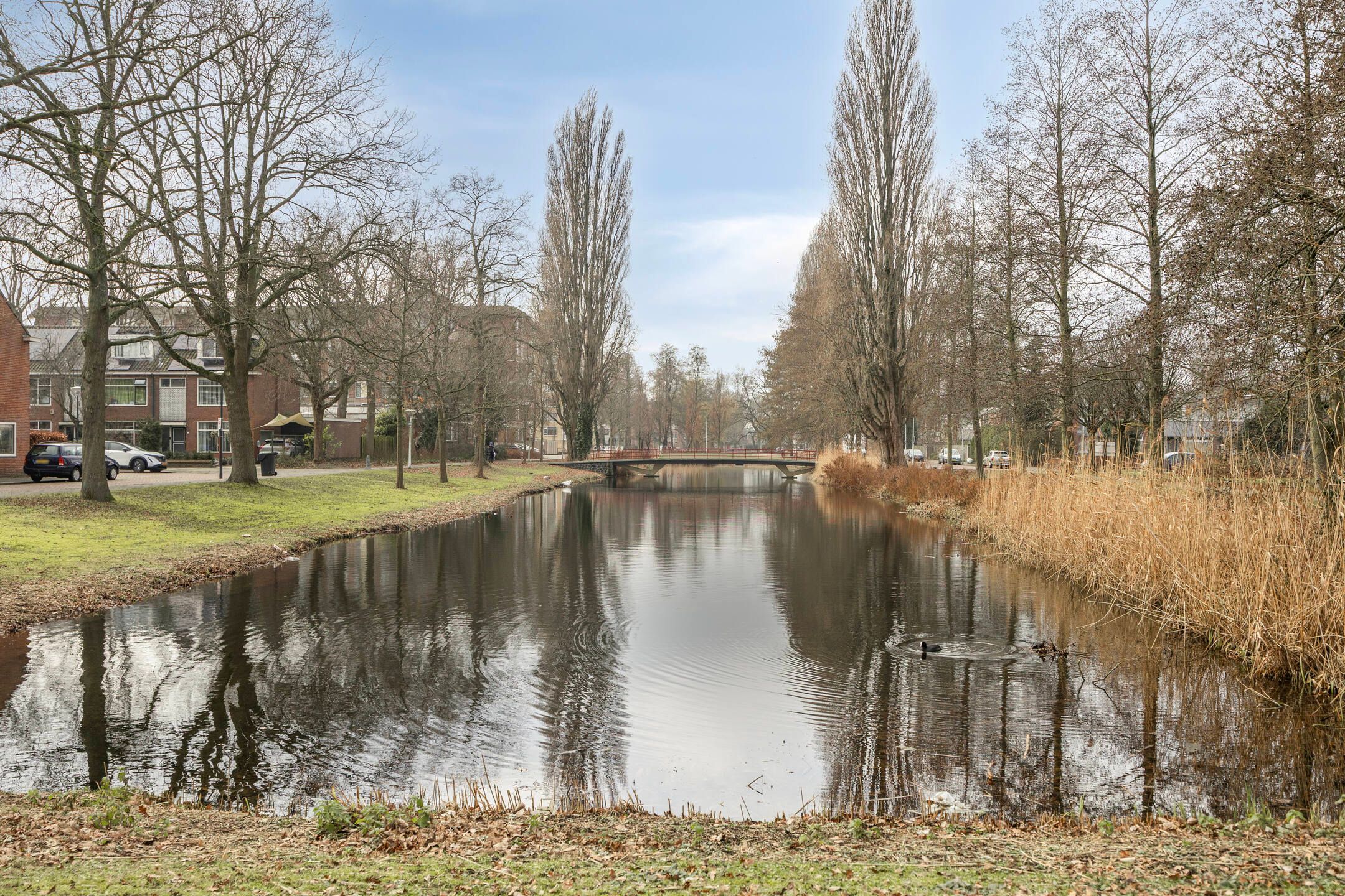 Foto 24 van Bachstraat 242