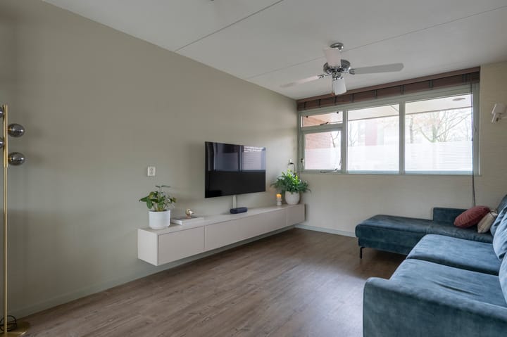 Foto 5 van Steenuil 81