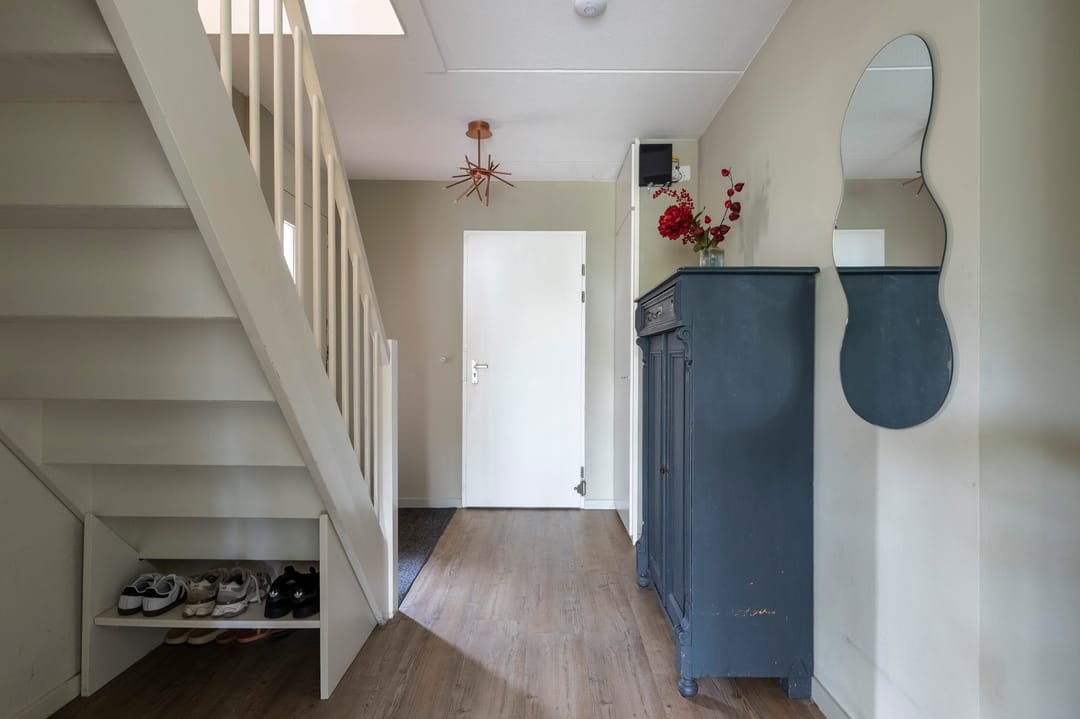 Foto 2 van Steenuil 81